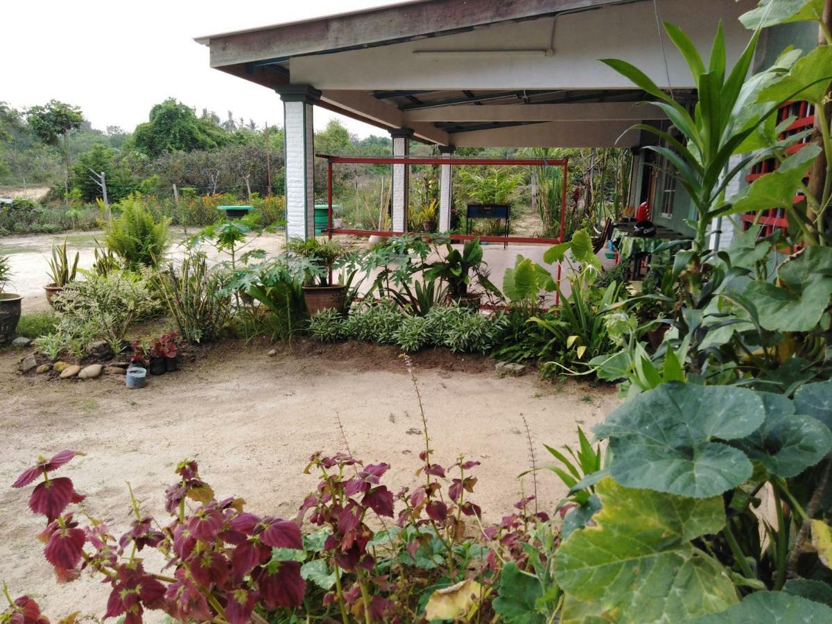 Adeeva Homestay Langkawi Pantai Cenang  Exteriér fotografie